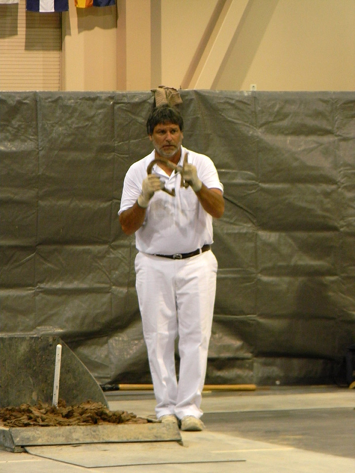 2013 Horseshoe Pitching Mens Championship